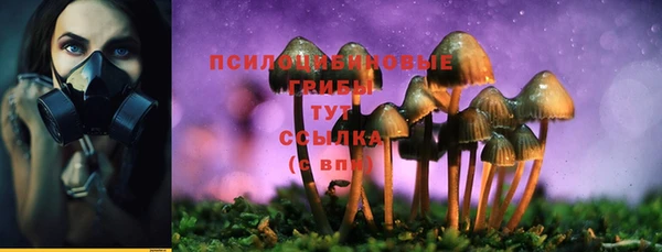 PSILOCYBIN Белокуриха