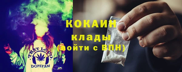 PSILOCYBIN Белокуриха