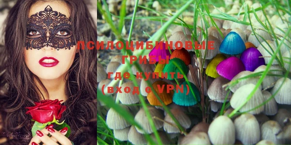 PSILOCYBIN Белокуриха