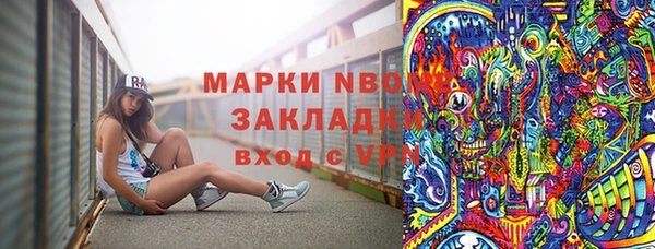 PSILOCYBIN Белокуриха