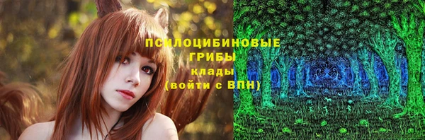 сатива Белоозёрский