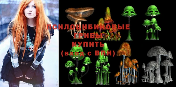 PSILOCYBIN Белокуриха