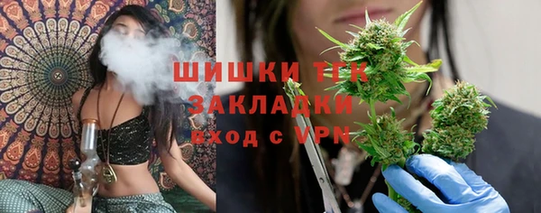 PSILOCYBIN Белокуриха