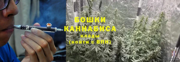 сатива Белоозёрский