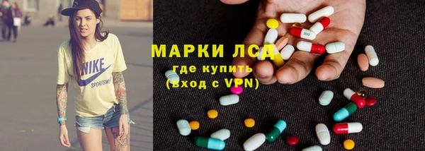 PSILOCYBIN Белокуриха