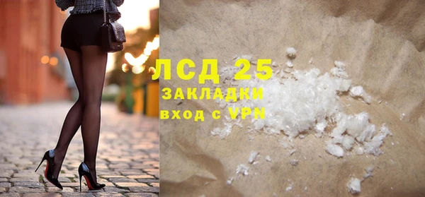 PSILOCYBIN Белокуриха