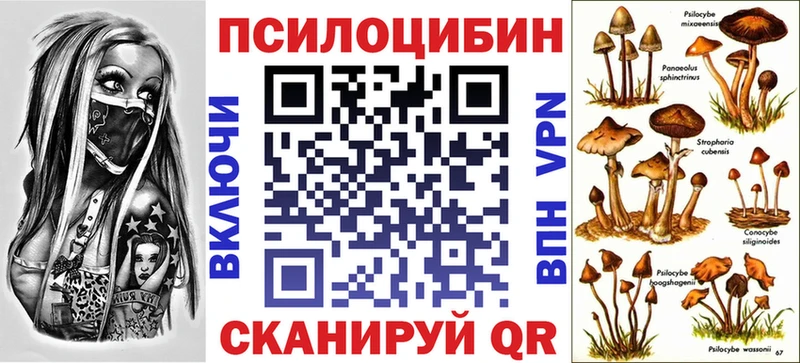 Галлюциногенные грибы Psilocybe  Высоцк 